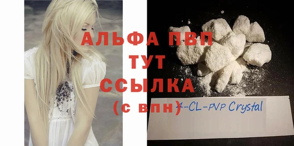 PSILOCYBIN Беломорск