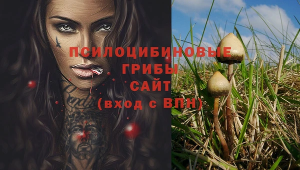 mdpv Белокуриха