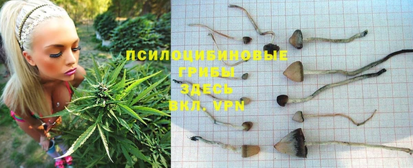 mdpv Белокуриха