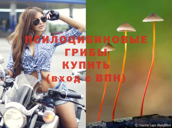 таблы Белоозёрский
