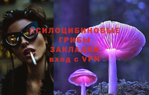прущие грибы Балабаново